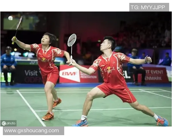 羽毛球混双比赛中的战术配合与技术运用分析研究 羽毛球混双比赛中的战术配合与技术运用分析研究