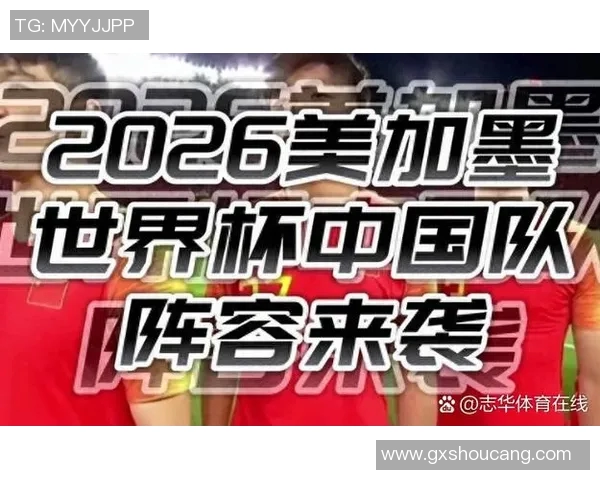 足球世界杯外围赛球队战术调整与效果评估分析及优化路径探讨 足球世界杯外围赛球队战术调整与效果评估分析及优化路径探讨