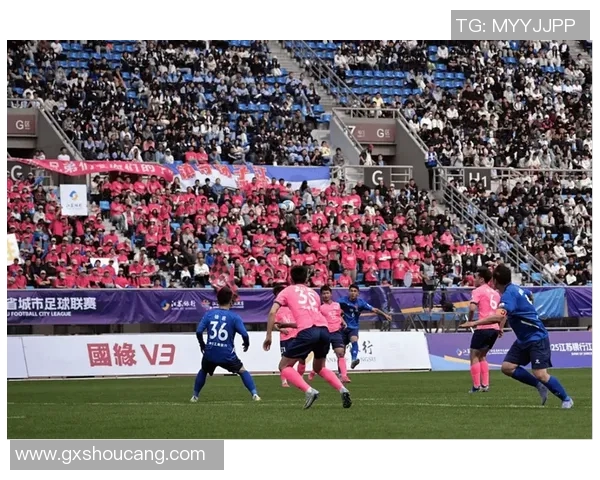 足球世界杯观众观赛体验及未来趋势 足球世界杯观众观赛体验及未来趋势